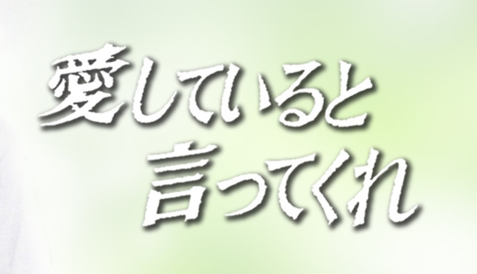 愛していると言ってくれ 動画