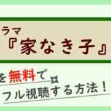 ドラマ『家なき子』